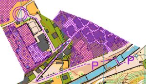 fondovalle 2013 9 ISSOM