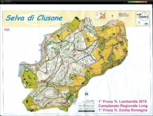 clusone