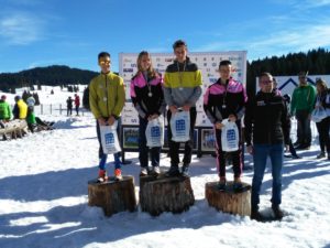 Millegrobbe scio (17)