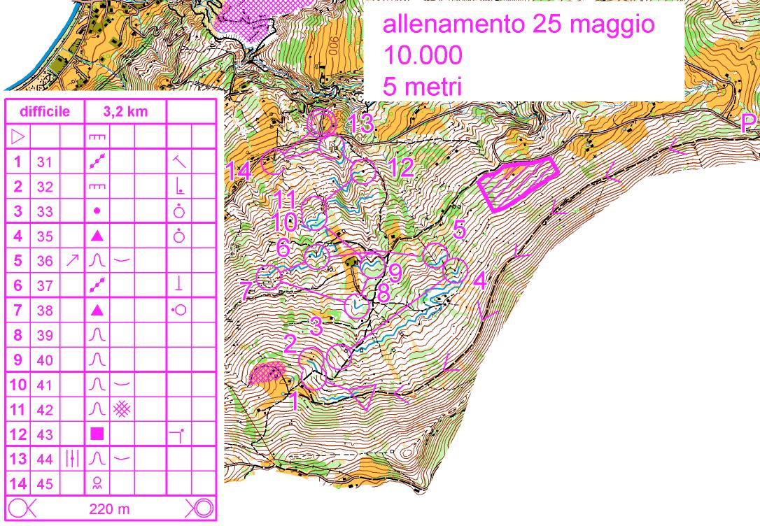semplificazioneCaltena.difficile